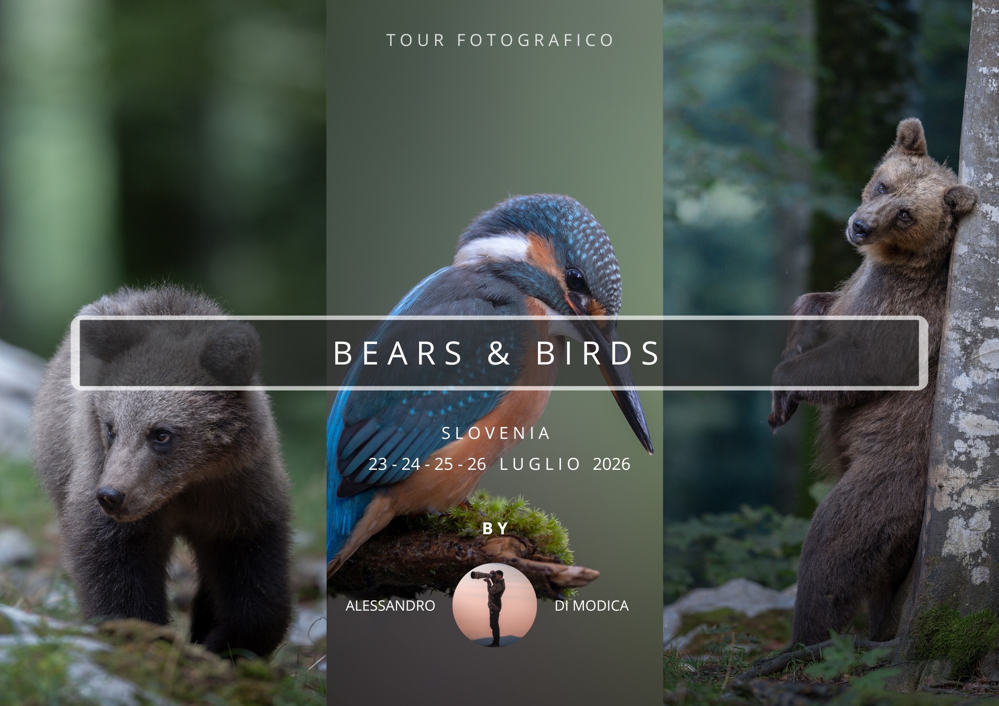 BEARS & BIRDS 23-26 LUGLIO 2026